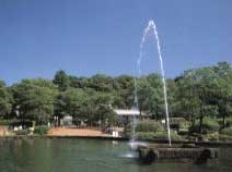 生田緑地の噴水